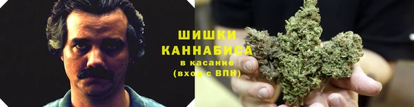 дурь Осташков