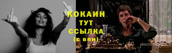 дурь Осташков