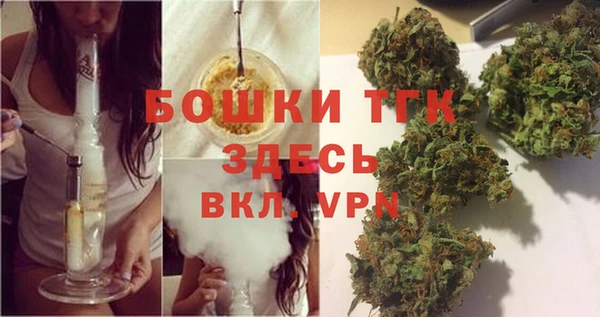 дурь Осташков