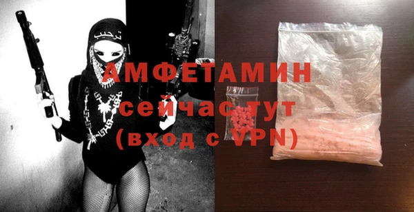 гашик Пересвет