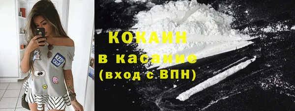 твердый Осинники