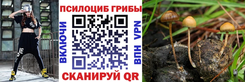 ссылка на мегу онион Порхов Псилоцибиновые грибы ЛСД